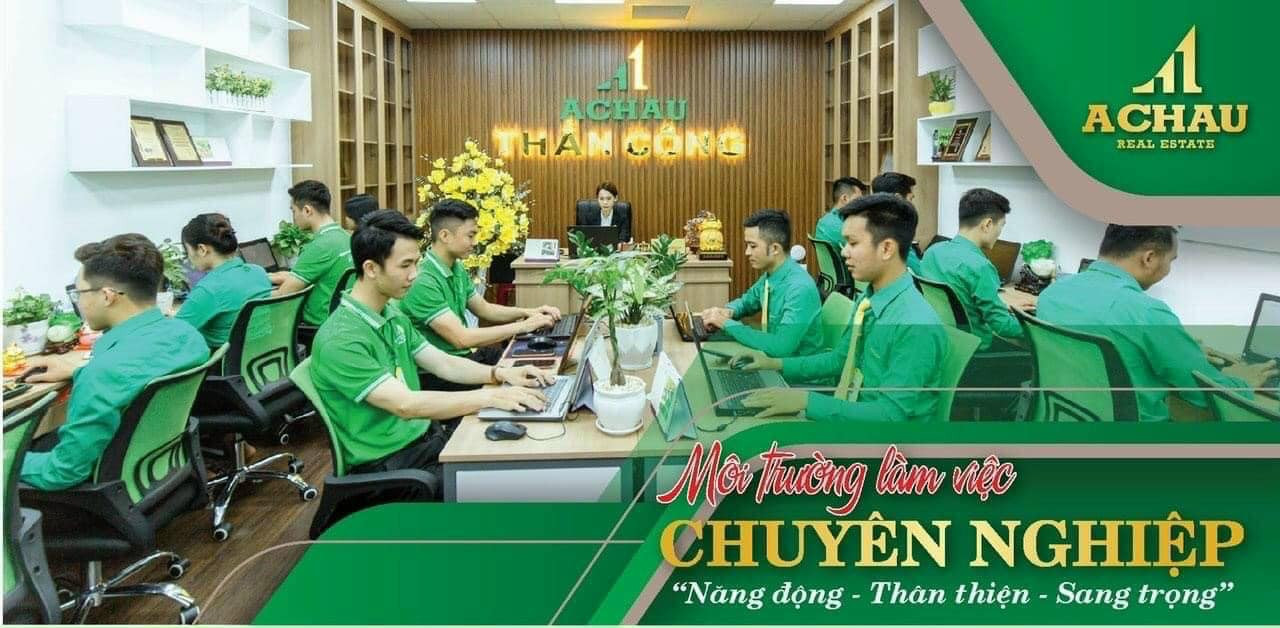 lĩnh vực hoạt động